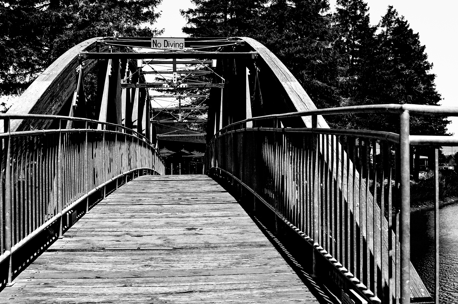 Photography by cutekoala for DesignCrowd (Community Contests) | Design #15834795