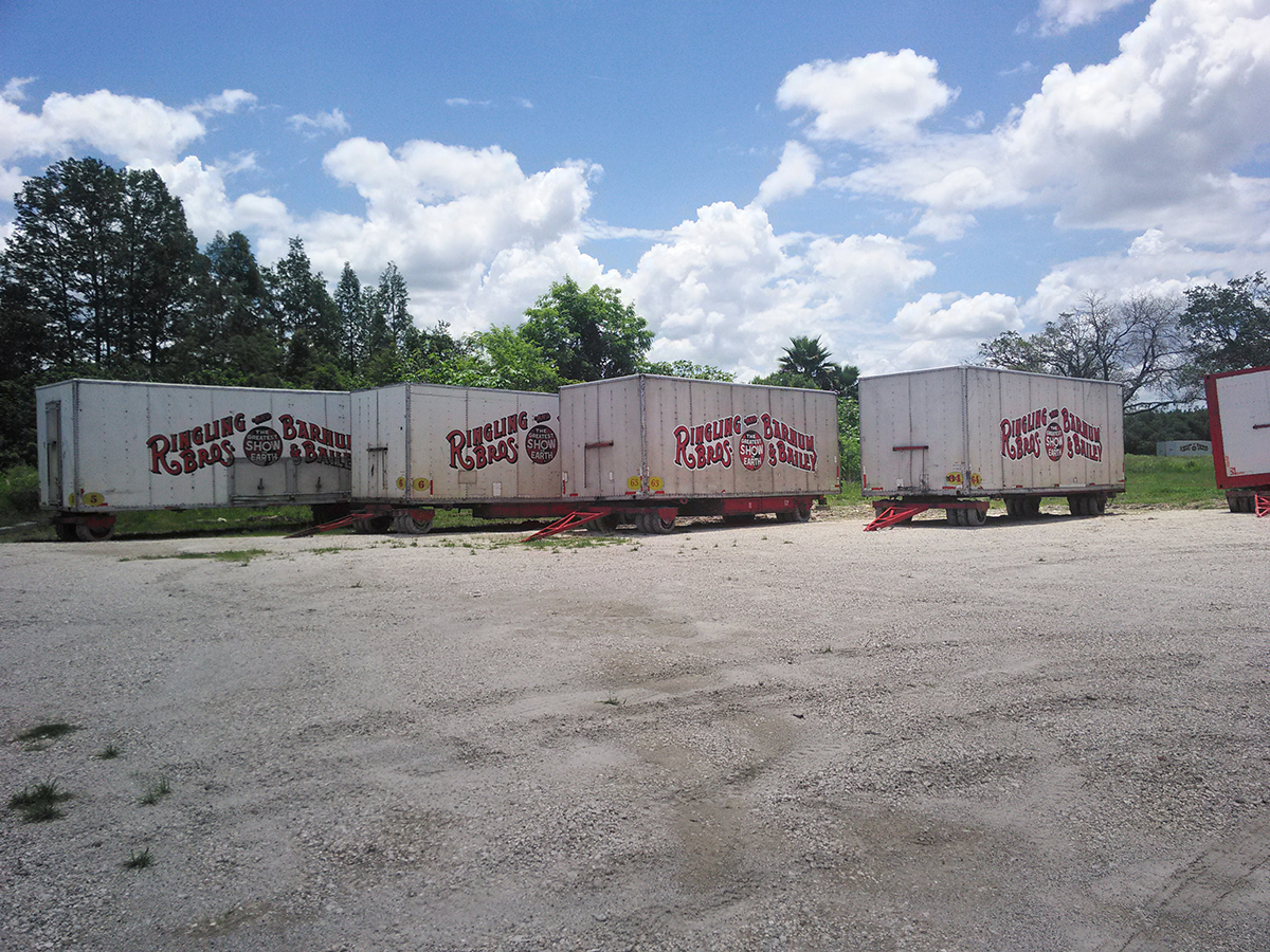 Fotografía por azanalenore para DesignCrowd (Community Contests) | Diseño #15823695