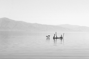 Photography by pisimimail