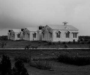 Photography by Design King 3