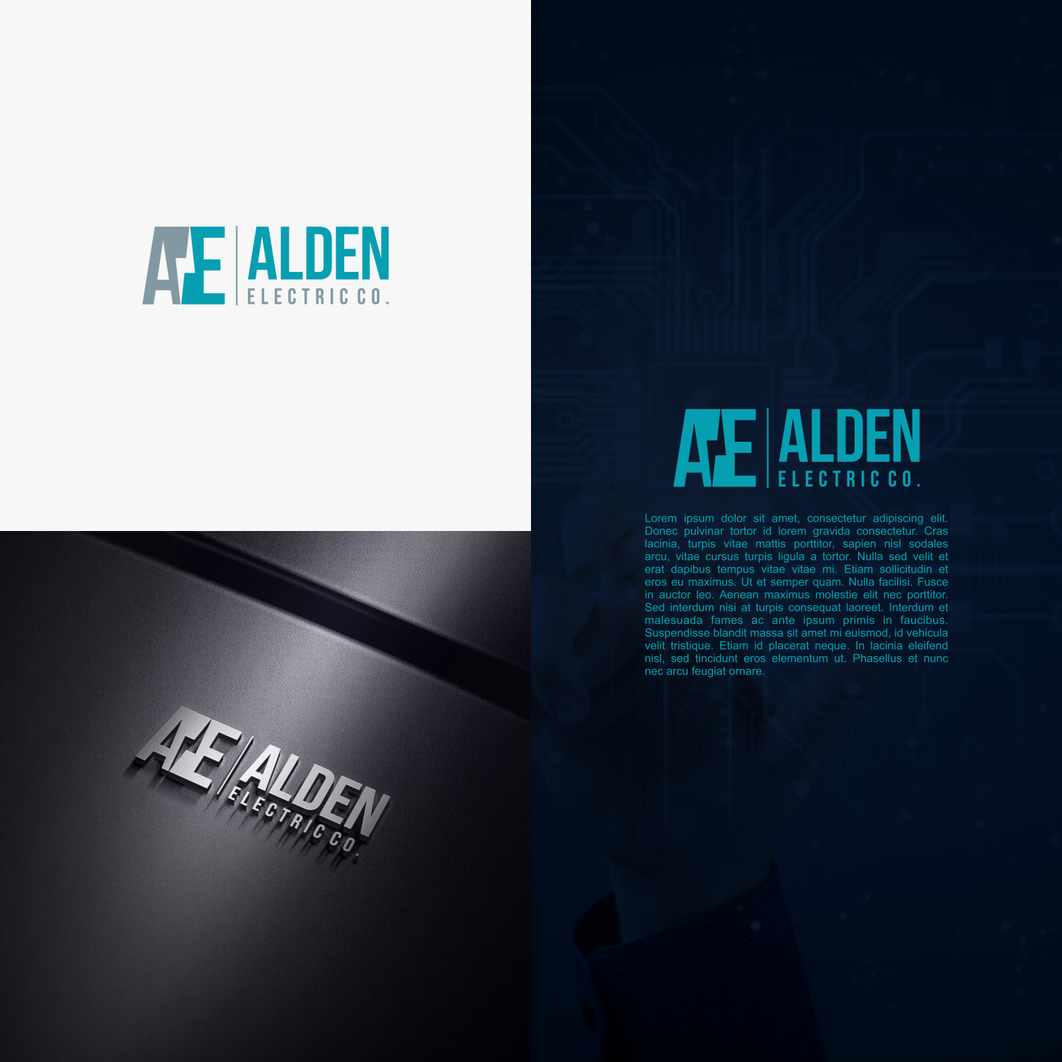 Logo Design by elvienjung for Alden Electric Co | Design #15817395