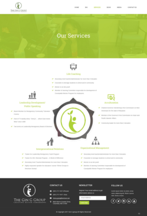Web Design by pb for The Gin G Group | Design: #17263862