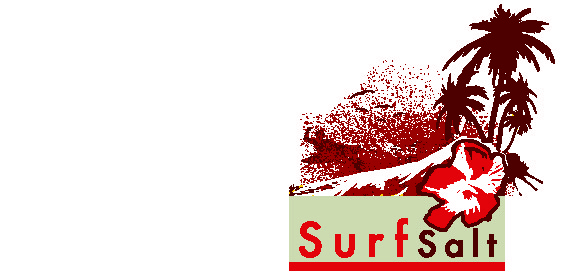 Logo Design by Bronte Creative Design for 0411986596 | Design #39604