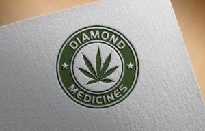 Logo Design by Origin to Original for iHost Networks | Design: #15817129