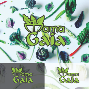 Diseño de Logo por PhamtomArts para este proyecto | Diseño #15818625