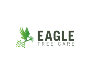 Logo Design by Davaus