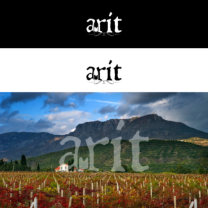 Logo-Design von Aliza Creative für BackRoad Vines | Design: #15841454