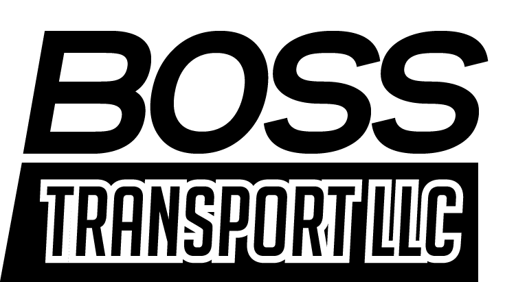Logo-Design von Jacquelinemjdesign für Sunny Trans LLC | Design #15935205