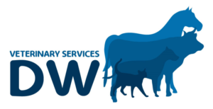 Logo Design by Buechler for this project | Design: #15900184