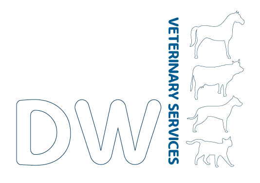 Logo Design by Buechler for this project | Design #15910867