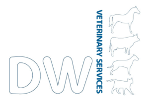 Logo Design by Buechler for this project | Design: #15910867