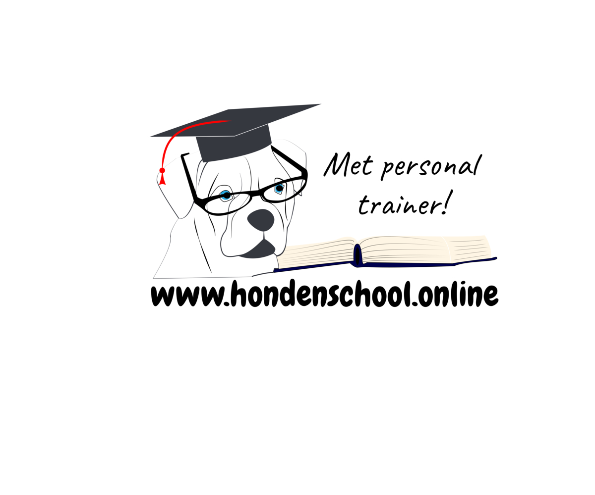 Logo Design by cmjadesigns for Voordeelwebsite.nl | Design #15865471