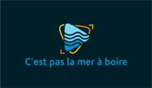 Logo Design by DesignLima