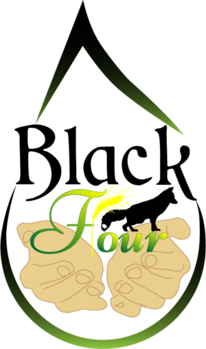 Logo Design by ielu for Black Fox Flour | Design: #15882669