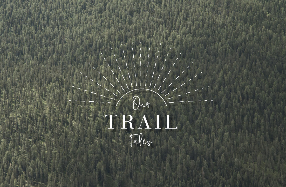 Logo Design by GLDesigns for this project | Design #15843249