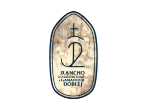 Logo Design by Ryan D'Alessandro