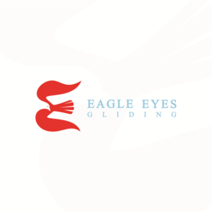 Logo Design by Vidaan India