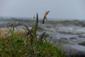 Photography by aclone