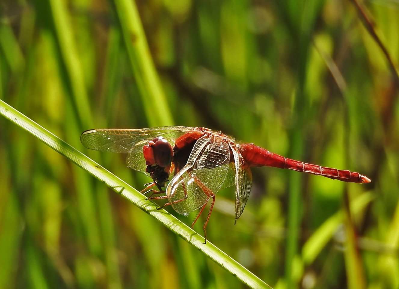 Photography by Moshik for DesignCrowd (Community Contests) | Design #15943668