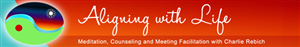 Banner Ad Design by Vanari Creative
