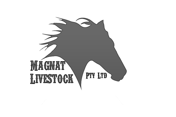 Logo Design by EagleFX for Magnat Livestock pty ltd | Design #630842