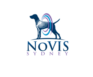 Logo-Design von Narendra