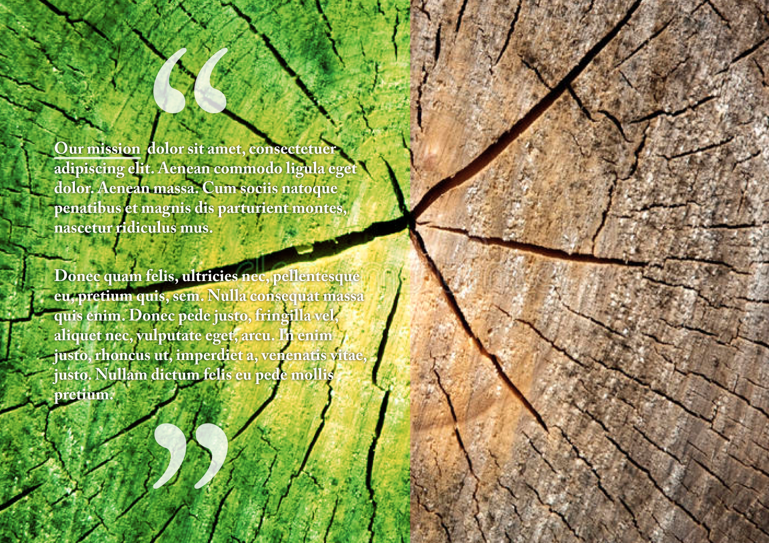 Brochure Design by betablocker for this project | Design #15887013