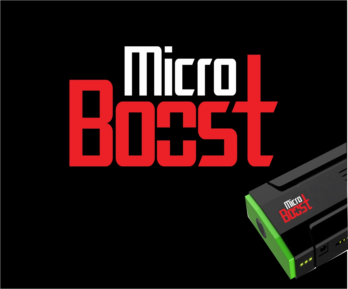 Logo Design by Shreyas Arts for MicroBoost | Design #2612988
