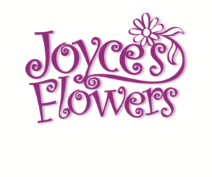 Logo Design by Hot Rod