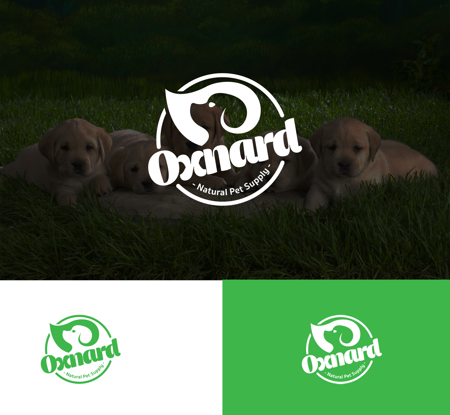 Logo Design by Ron Art for this project | Design #15878903