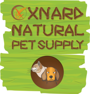 Logo Design by CharaFathimalil