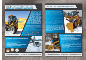 Flyer Design by alex989 for Bumpys Polar Freeze, Inc. | Design: #15899227