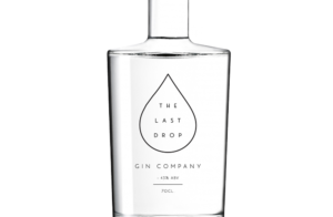 New Gin Company requires Label/Logo design | Label Design by GLDesigns