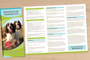 Flyer Design by JustRightHere for this project | Design: #15893237