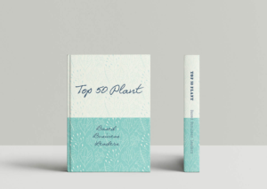 Book Cover Design by Lubaa
