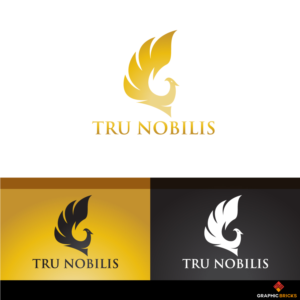 Logo Design by Graphic Bricks