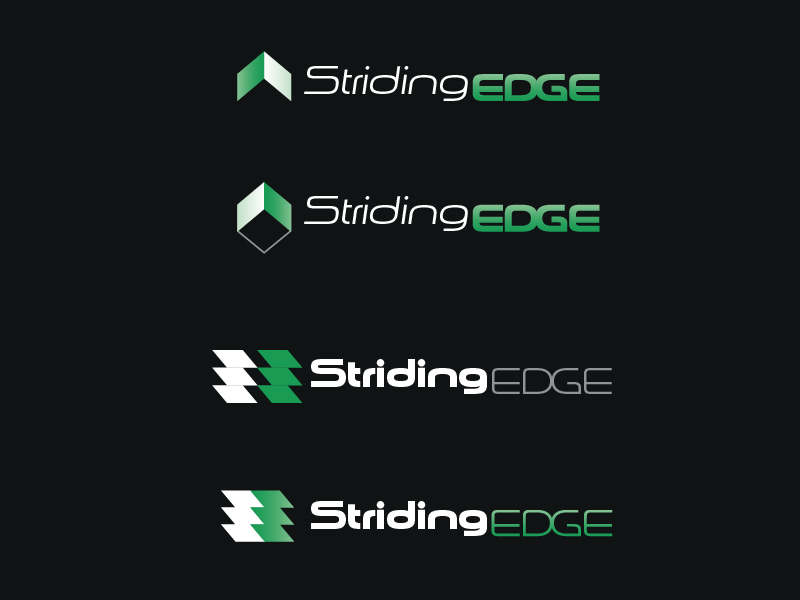Logo-Design von BM Create für Striding Edge | Design #612660