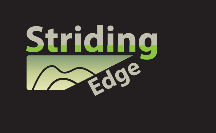Logo Design by Percycute for Striding Edge | Design #618396