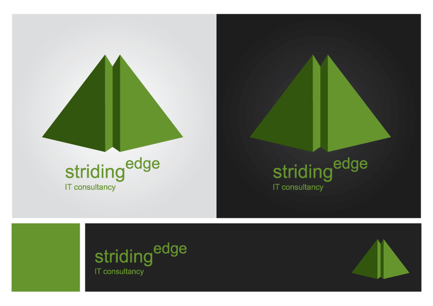 Logo Design by 3E for Striding Edge | Design #643598