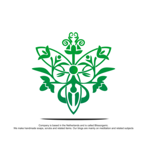 Logo Design by Anchasto Studio
