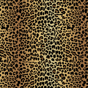T-shirt Design by Eva Jancsovics