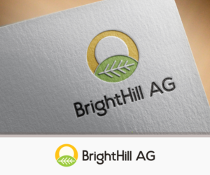 Logo Design by mediasafi