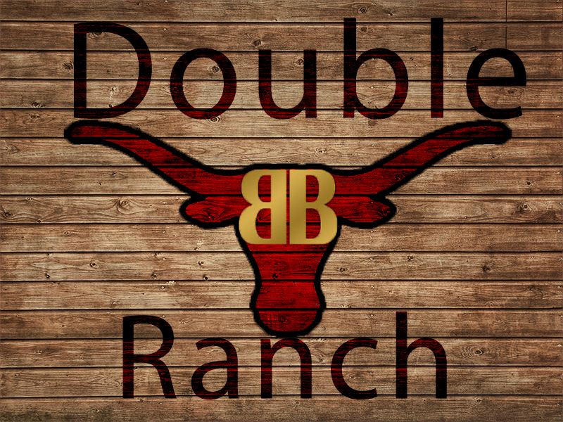 Logo-Design von Kosmin für dieses Projekt | Design #2630448