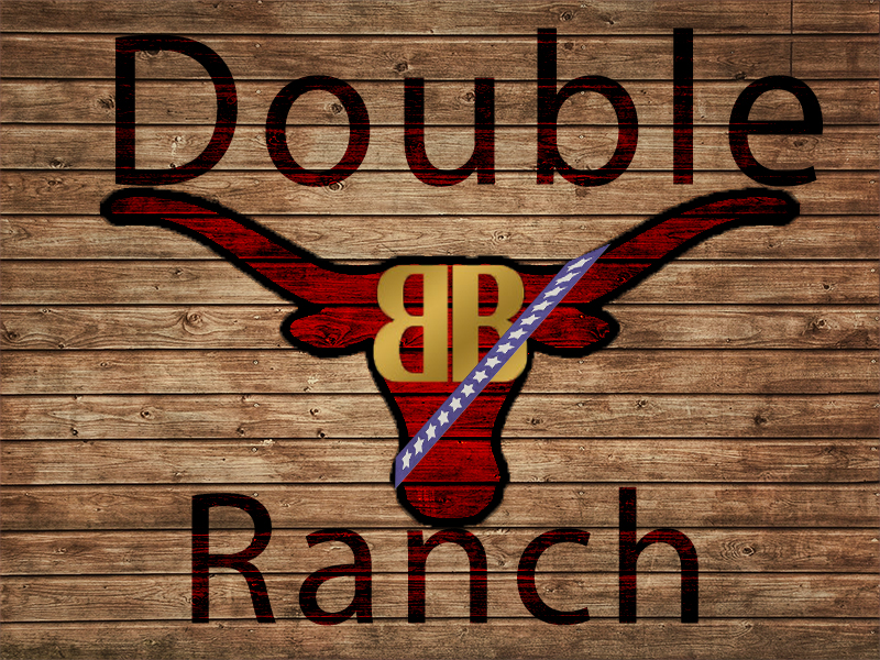 Logo-Design von Kosmin für dieses Projekt | Design #2630458