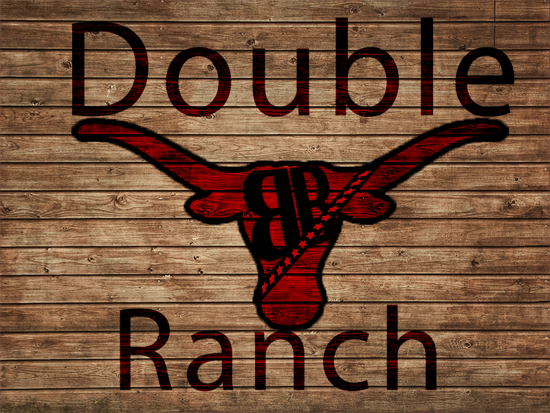 Design de Logo par Kosmin pour ce projet | Design #2630480