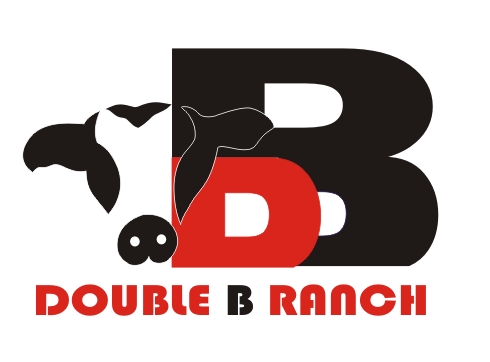 Design de Logo par Sha & Sha pour ce projet | Design #2642033