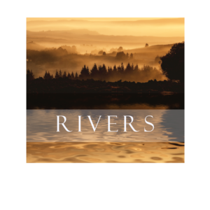 CD Cover Design by elveneclipse for this project | Design: #15950813