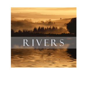 CD Cover Design by elveneclipse for this project | Design: #15962987