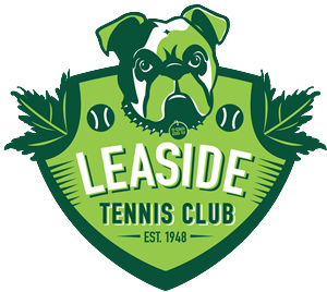 Logo Design by MariVdesign