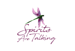 Logo Design by Valtti Design
